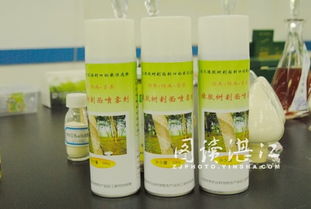 湛江科技人 你可能不知道的橡胶树“防寒衣”——农产品加工研究所的精彩故事