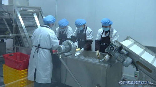 张延保调研靖远县农产品加工业 激发产业潜能，赋能乡村振兴