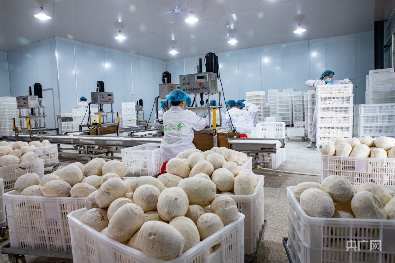 福建光泽 以仓储冷链建设为引擎，驱动乡村产业振兴与农产品加工升级