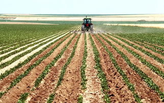 中国种养业加速向农产品加工业延伸，破解加工深度不足难题