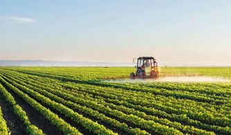 农业工程 以农产品加工为抓手，综合推进新农村建设的核心学科