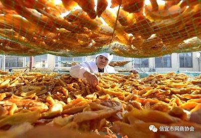 推进农产品加工转型升级，打造乡村产业振兴新引擎