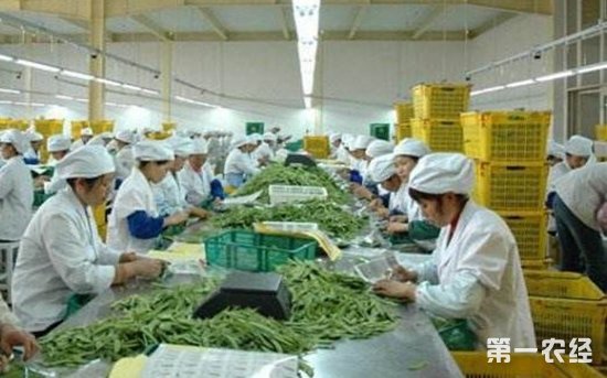 以技术集成基地为引擎 推动农产品加工产业转型升级