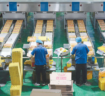 做大做强农产品加工业，赋能乡村全面振兴