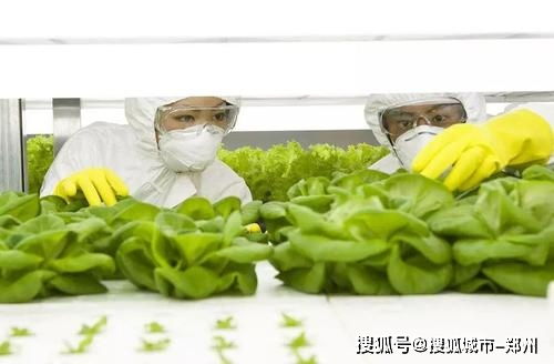 全力推进国际农产品加工产业园与重点水利工程建设 助推农业现代化发展