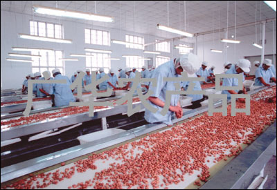 山东广华农产品 推动农产品加工升级，助力乡村振兴