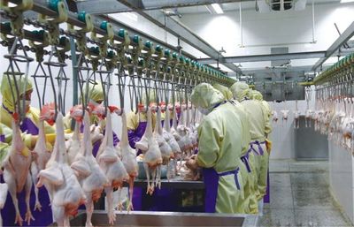 扶贫产业巡礼之六 广西兴业——深加工赋能，擘画乡村振兴新蓝图